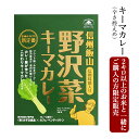 ＼マラソン期間中ポイント5倍・4月27日（土）9:59まで／【2kg以上のお米と一緒にご購入の方限定販売】信州飯山 ご当地カレー 野沢菜キーマカレー（辛さ控えめ）※カレーのみの販売は出来ません。お米に同梱してお届けします。