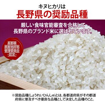 お米:贈答用【30年度産 新米】【お米 10kg 送料無料】奥信濃キヌヒカリ全国・米食味コンクール金賞受賞米長野県奨励品種長野県飯山産 金崎さんちのお米〔美味しいお米〕