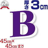 3cm ʸ (  ) 45cmߥ襳45cmޤ Ωʸ Ȣʸ ŹѴ  ꥸʥ