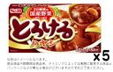 S&B とろけるハヤシ 160gx5個set【賞味6ヵ月以上】S