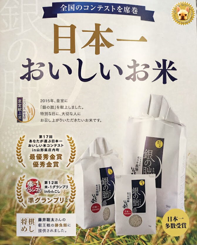 【精米】銀の朏 岐阜県 下呂産 特栽減減 令和7年産 1等 白米 5kg（ぎんのみかづき）