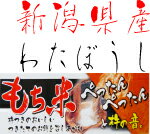 【送料無料】令和5年産 新潟県 わたぼうし もち米 玄米 1等 30kg モチ米界のお姫様