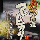 楽天弁次郎商店令和5年産 新潟県産 残留農薬分析 コシヒカリ 玄米3kg 【精米無料】【nk_fs_0629】