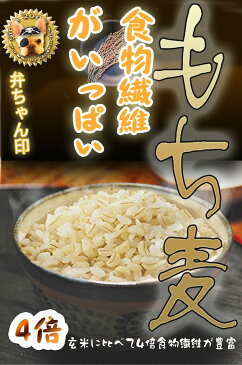 【送料無料】BG もち麦 5kg