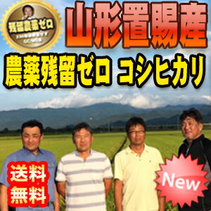 【送料無料】29年産 山形県置賜産 残留農薬分ゼロ コシヒカリ 1等 玄米10kg 【精米無料】【nk_fs_0629】