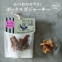 かつお カラスミ ボッタルガジャーキー 鹿児島産 30g 常温 カネニニシ プチギフト お歳暮 送料無料 プレゼント 贈答 暑中見舞い