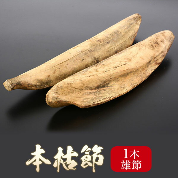 バレンタイン チョコ以外 2021 鰹節 本枯節 バラ 1本 雄節 送料無料 だし 出汁 鹿児島 指宿 削り節 かつお節 かつおぶし 無添加 削り おつまみ お取り寄せ