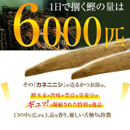 送料無料 鰹節 ぱくぱくパック4p×10袋　お徳用発送段ボール入り 鹿児島 指宿 削り節 かつお節 かつおぶし 無添加 パック ふりかけ ギフト 引き出物 カネニニシ お歳暮 歳暮 お年賀 おつまみ