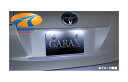 GARAX ギャラクスハイブリッド規格LEDシリーズハイブリッドLEDナンバーランプ Type Aホワイト