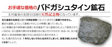 【返金保証・送料無料】バドガシュタイン鉱石プレミアム(ラジウム原石)1セット 200g【限定50セット】【ラジウム 鉱石 天然石 ラドン 温泉 玉川温泉】【楽ギフ_包装 家庭用】【土曜営業】