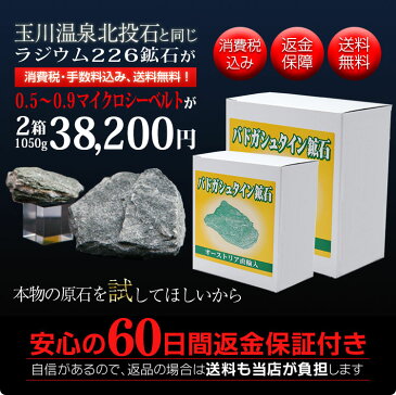 【正規品・返金保証】バドガシュタイン鉱石0.5〜0.9マイクロシーベルト 2箱 1050g 【ラジウム鉱石 天然石 セット ホルミシス 効果 家庭用 ラドン 玉川温泉 温泉】【土曜営業】
