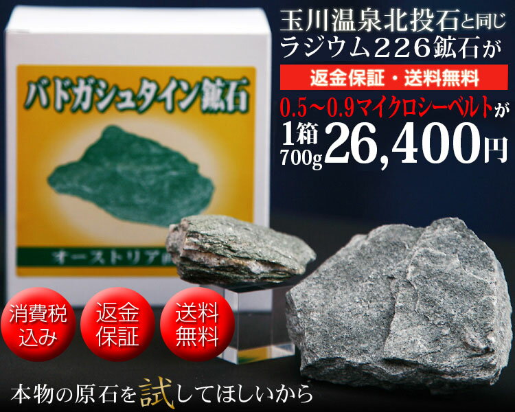 【正規品・返金保証】バドガシュタイン鉱石0.5〜0.9マイクロシーベルト1箱　700g【ラジウム鉱石 ラドン 温泉 玉川温泉 ホルミシス 家庭用】【楽ギフ_包装】 【土曜営業】