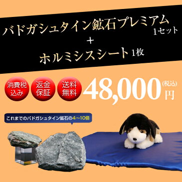【返金保証・送料無料】バドガシュタイン鉱石 プレミアム200g+ホルミシスシート1枚【土曜営業】【ラジウム原石 ラジウム 鉱石 天然石 セット ホルミシス 効果 家庭用 ラドン 温泉 玉川温泉】【楽ギフ_包装】