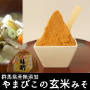 黒保根やまびこの玄米味噌 200g 道の駅やまびこの人気商品 手作り味噌 おでん 煮物 田楽 健康食品 みそ ミソ 無添加 国産 群馬県 黒保根 ギフト お歳暮 お年賀 贈答品