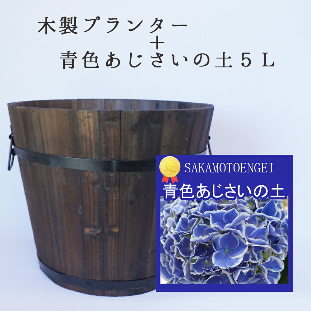 花器と雑貨　青あじさい植え替えセット　培養土5L　焼杉プランター　深型　中サイズ　ニス塗仕上げ　あじさい　おしゃれ　寄せ植え　上部直径約33センチ・高さ約28センチ、板厚1.5センチ容量:約12L