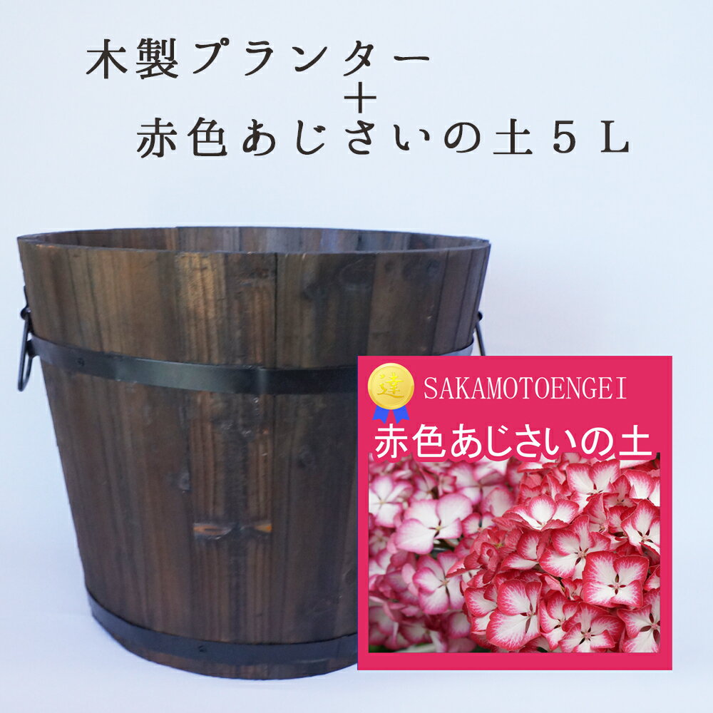 花器と雑貨　赤あじさい植え替えセット　培養土5L　焼杉プランター　深型　中サイズ　ニス塗仕上げ　あじさい　おしゃれ　寄せ植え　上部直径約33センチ・高さ約28センチ、板厚1.5センチ容量:約12L