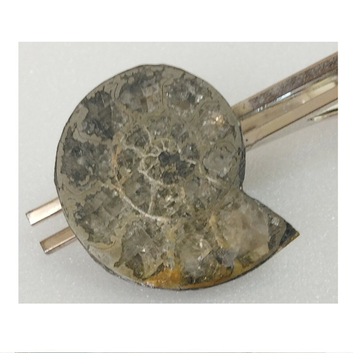 【中古】本物レア黄鉄鉱化した1億8000万年のアンモナイトを使用したネクタイピン　重さ8g　〇D20-20　K..