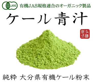 純国産 大分県産 有機JAS オーガニック ケール青汁粉末100g【無添加・無農薬】野菜の王様!!栄養豊富なケールの青汁 メール便限定送料無料