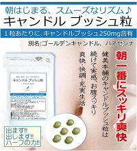 健美本舗★キャンドルブッシュ粒からはじまります!! 貴女のスムーズな毎日…★1パックに240粒で約30〜60日分★ハネセンナ・ゴールデン キャンドル★メール便限定送料無料 10P30May15
