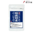 今、食べたくなる 板藍根 純度100% 板藍根末 50g ばんらんこん末 バンランコン 熱湯を注いで板藍根茶としてもお飲みいただけます。メール便限定送料無料