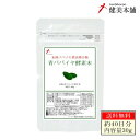 青パパイヤ酵素末 未熟 カリカパパイヤ果実搾汁物 青パパイヤ酵素パウダー 30g 約40日分 フルーツ系酵素ダイエット 健康&美容もマルチな酵素 メール便限定送...