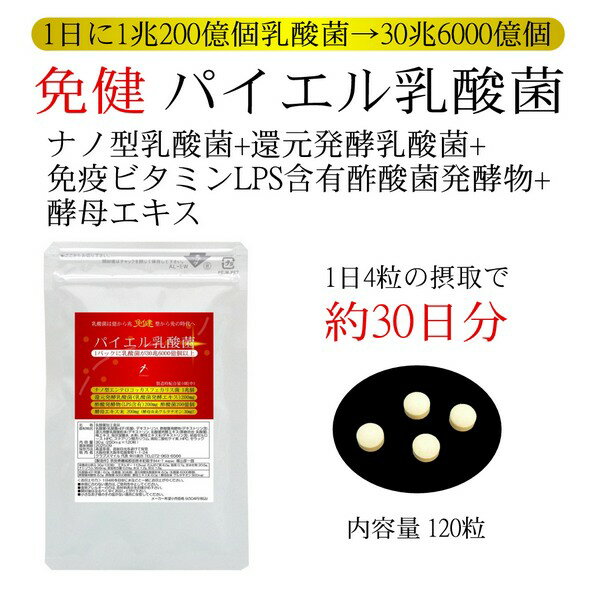 全品値引き 免健 パイエル乳酸菌 充実の30日、1日1兆200億個以上の乳酸菌→ナノ型乳酸菌+還元発酵乳酸菌+免疫ビタミンLPS含有酢酸菌発酵物+グルタチオン含有酵母エキス 120粒 メール便限定送料無料 2