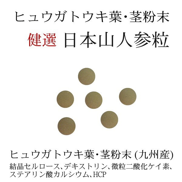 新発売 九州産 日本山人参粒 -日本日向当帰粒- 300mg×120粒 ヒュウガトウキ粒 1日...
