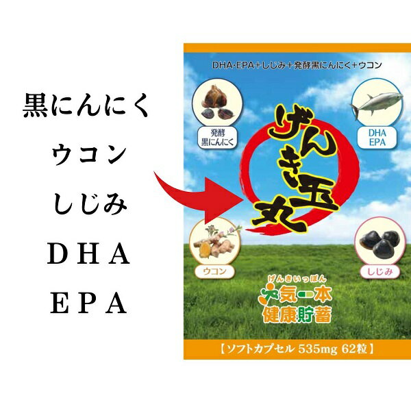 しじみサプリ オルニチン DHA EPA 発酵黒ニンニク ウコン アリシン クルクミン オールイン サプリメント ウコンサプリ にんにくサプリ うこんサプリ ニンニクサプリ げんき玉丸 1ヶ月分 62粒 けんとの杜 メール便 送料無料