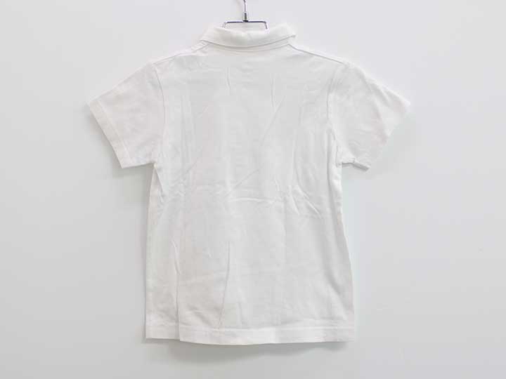 �ե��ߥꥢ �ݥ������ 120cm ���å� �˻� �����šۡڿ�����!�ۡ�