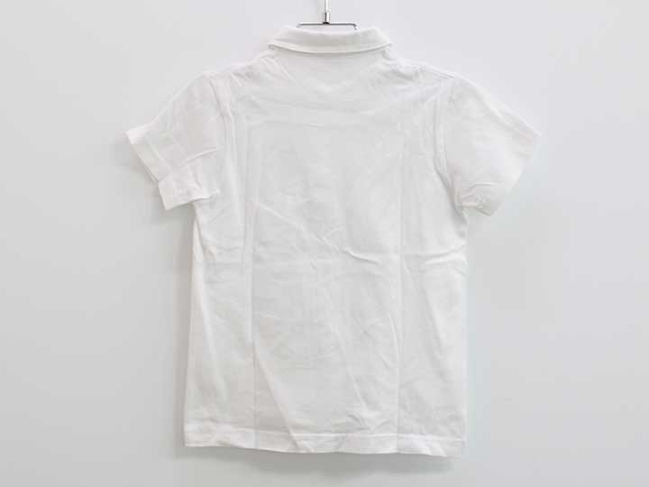 �ե��ߥꥢ �ݥ������ 120cm ���å� �˻� �����šۡڿ�����!�ۡ�