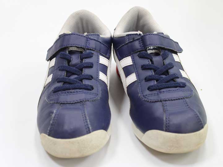 ˥ĥ ˡ å 22cm ˻ ǻšۢ