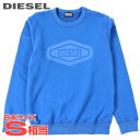 ■DIESEL ディーゼル メンズ■ロゴプリント ラウンドネック プルオーバー スウェットシャツ トレーナー【S-GINN-D1】【サイズXS】【1サイズ程大きめのサイズ感】【ブルー】die-m-t-f4-3wn 《メーカー希望小売価格27,500円》(4)