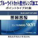 【オプション ブルーライト軽減 パソコン用 度付レンズ加工】ポイントタイプ対象
