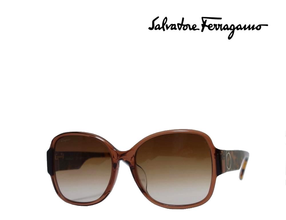 【Salvatore Ferragamo】　サルヴァトーレ フェラガモ　サングラス　SF1001SA　248　クリスタルブラウン　アジアンフィット 　国内正規品