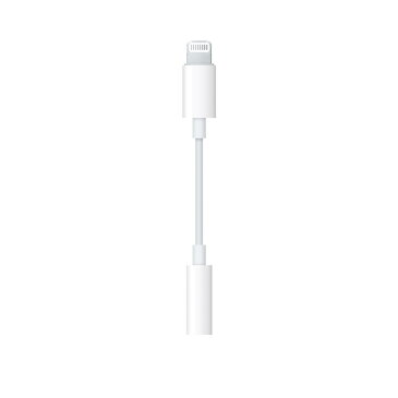 アップル 純正 イヤホンと変換アダプタのセット Apple 3.5mm ミニプラグ イヤホン iPod iPhone iPad 本体標準同梱品 EarPods with 3.5 mm Headphone Plug 純正品 MD827LL/A (MD827ZM/B MD827FE/A同等品)変換アダプタ Lightning-3.5mm ヘッドフォンジャック バルク品