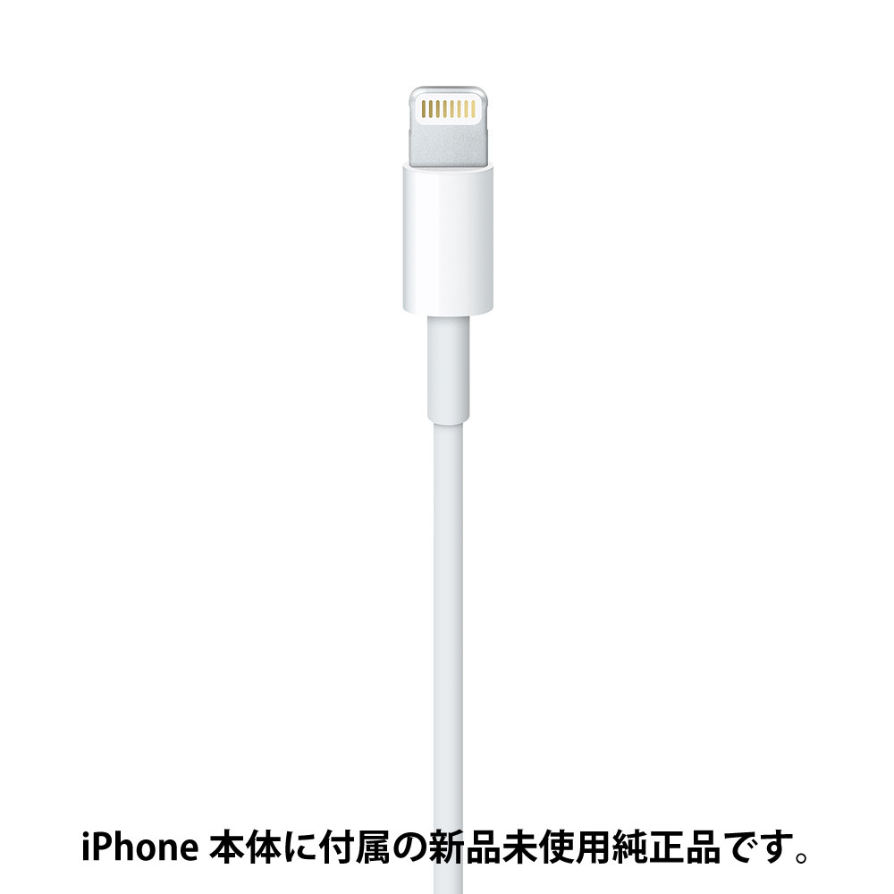 apple 純正 ライトニングケーブル 充電 通信 Lightning - USBケーブル (1m) iPhone iPad ケーブル 同期 1m 100cm 本体標準同梱品 MFi 認証品 純正品 バルク品