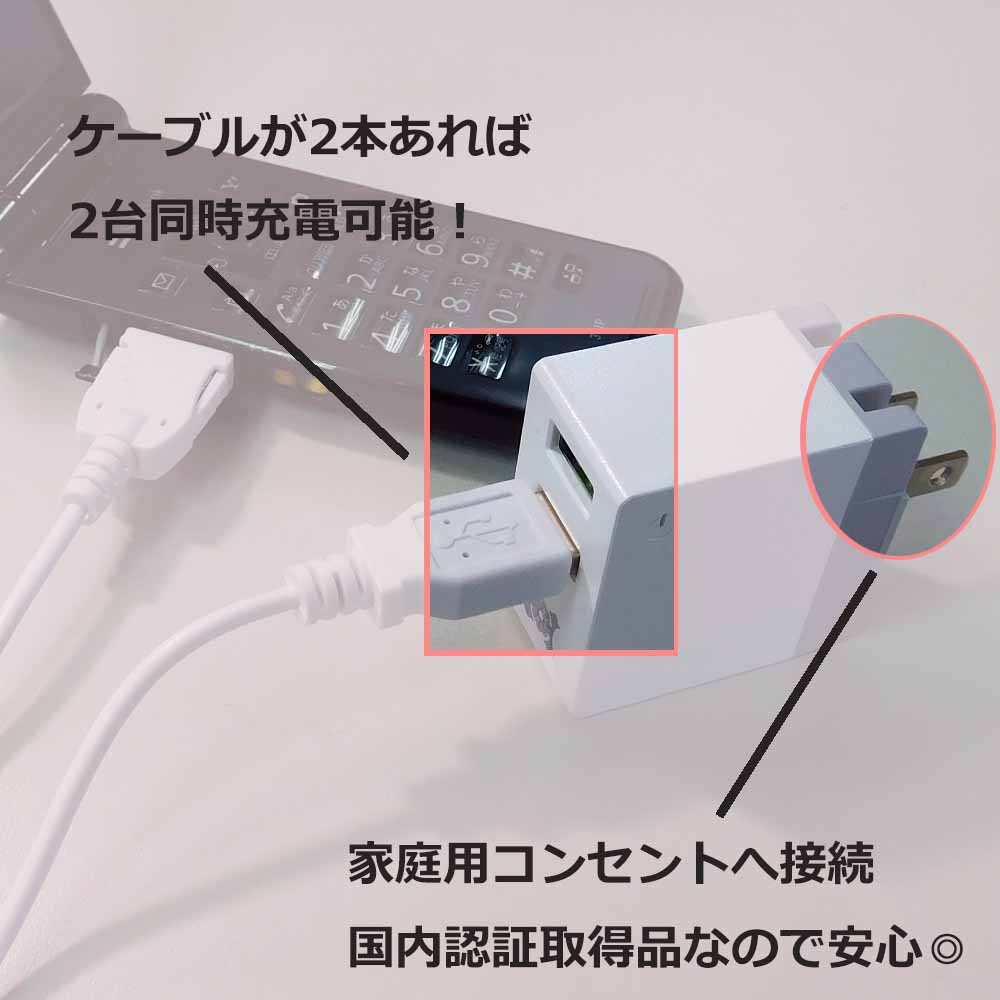 FOMA Softbank 3G 用 USB ケーブル&ACアダプタ—セット 充電器 1m ガラケー 充電コード データ通信