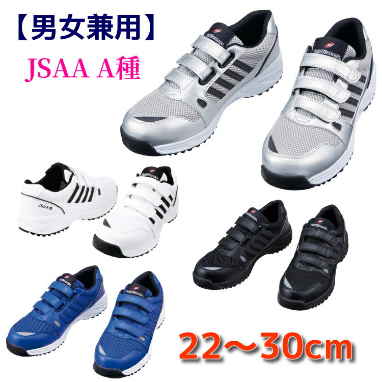  ˡ JSAA A ǥб 礭 ̵ ޥå S2182 Ʋ   ֥롼 С ѥ