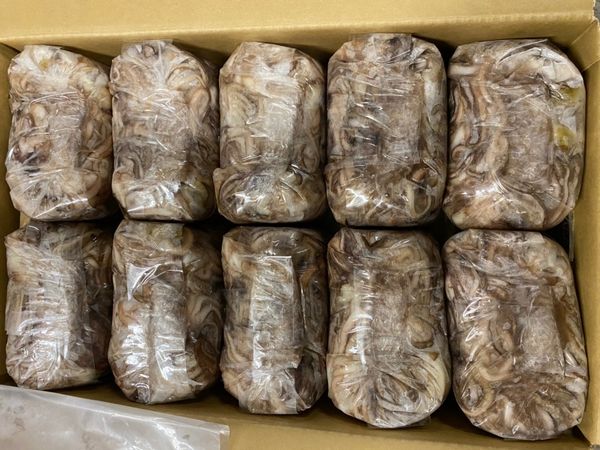 格安 業務用大量 お買い得品 北海道産いか下足 げそ 10kg E 北港直販 いか 烏賊 ゲソ 上質風合い Www Interficto Com 格安 業務用大量 お買い得品 北海道産いか下足 げそ 10kg E 北港直販 いか 烏賊 ゲソ 上質風合い Www Interficto Com