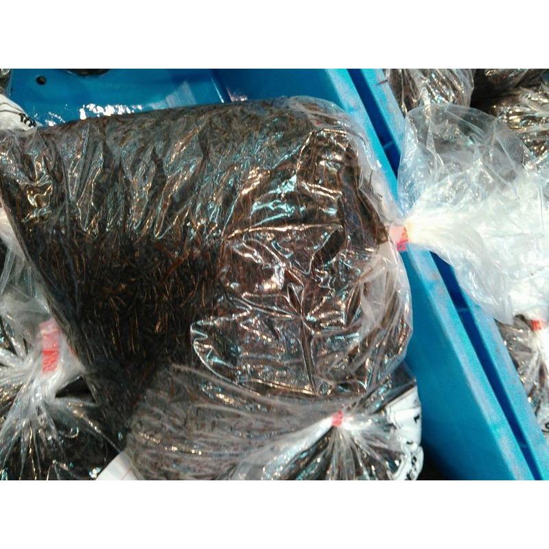 北海道産生ふのり1kg前後〔B〕北港直販☆のり・ノリ〔代引き不可〕