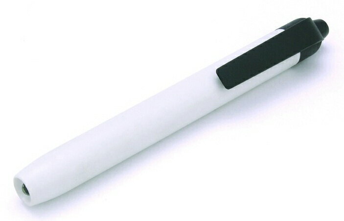 LED ペンライト (AP-5) 色:白 販促品 ノベルティグッズ 景品 販促グッズ 粗品
