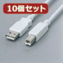 【10本セット】 エレコム フェライト内蔵USBケーブル 0.5m USB2-FS05X10(2)