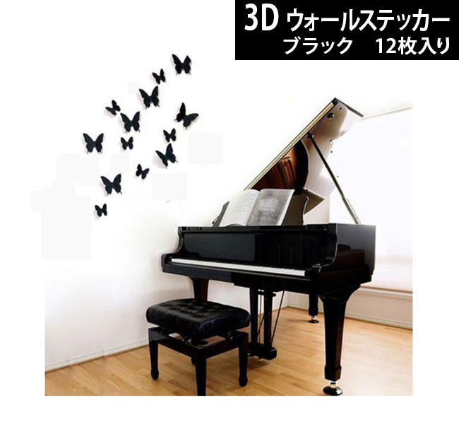  ͵ʺ٤ޤ  3D 륹ƥå  ɥƥå ĳХե饤 | ؤ |  | 