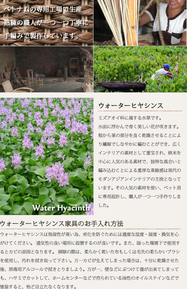 ����夤�����꥾���ȤΤ褦�������ζ��֤�� �ơ��֥� �� ���ե����å� �� ���¤餰��������ƥ����� ��