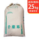 【送料無料】令和7年産 新米 千葉県産コシヒカリ25kg【smtb-TD】【saitama】