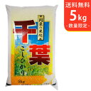 【送料無料】令和7年産 新米 千葉県産コシヒカリ5kg【smtb-TD】【saitama】