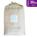 【送料無料】令和5年産 新米 岩手県花巻産ひとめぼれ 玄米30kg 特別栽培米【smtb-TD】【saitama】