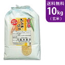 令和5年産 新米 玄米 岩手県花巻産ひとめぼれ 10kg 特別栽培米