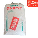 【送料無料】令和5年産 新米 新潟県産コシヒカリ 25kg【smtb-TD】【saitama】