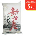 【送料無料】令和元年産 新米 新潟県産コシヒカリ 5kg【smtb-TD】【saitama】